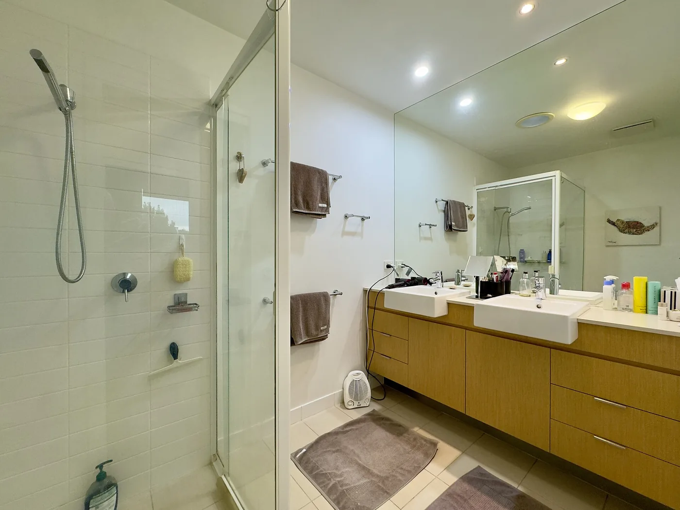 Baño doméstico con ducha y zona de lavabo