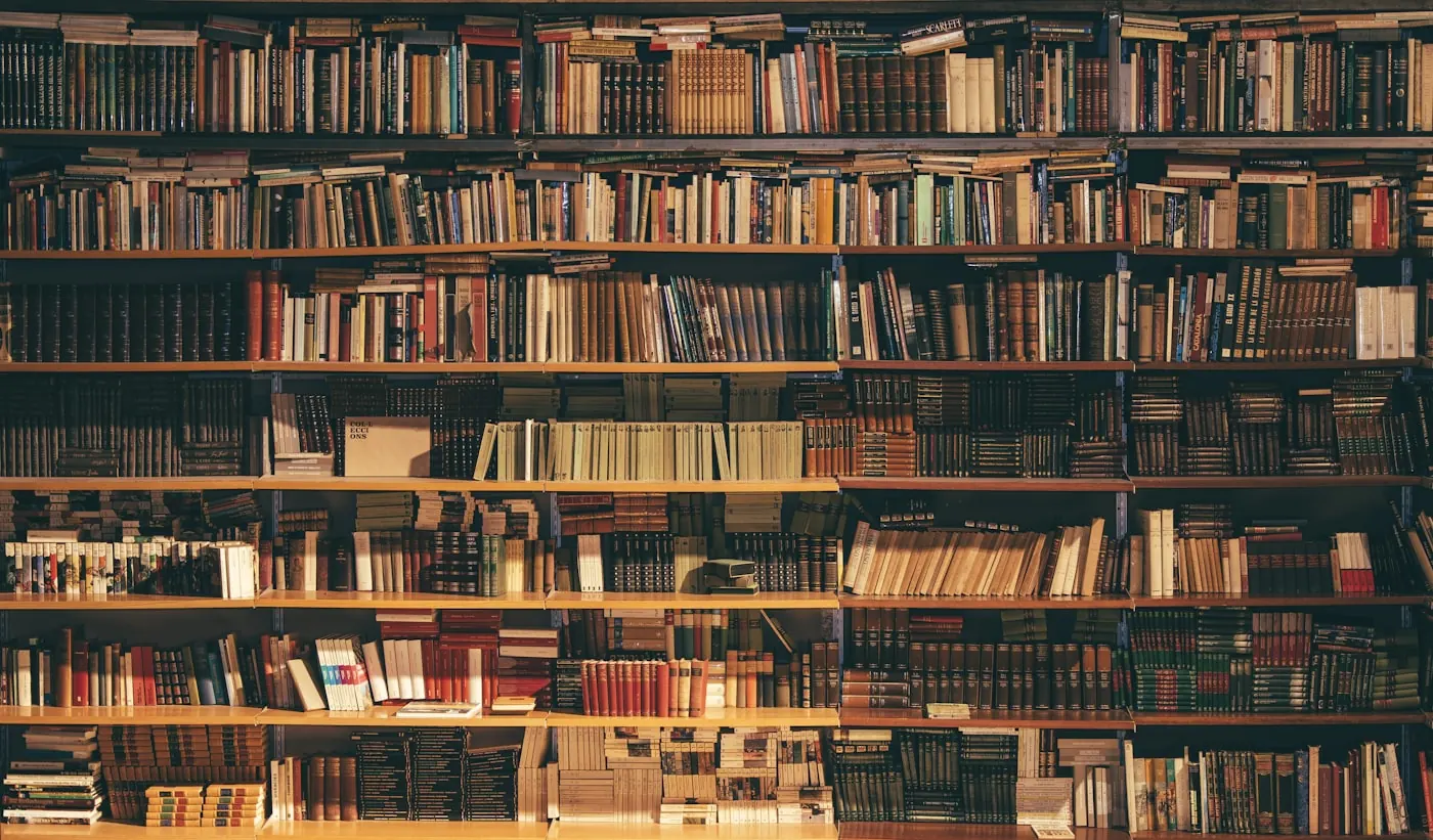 Estantería de una biblioteca de barrio