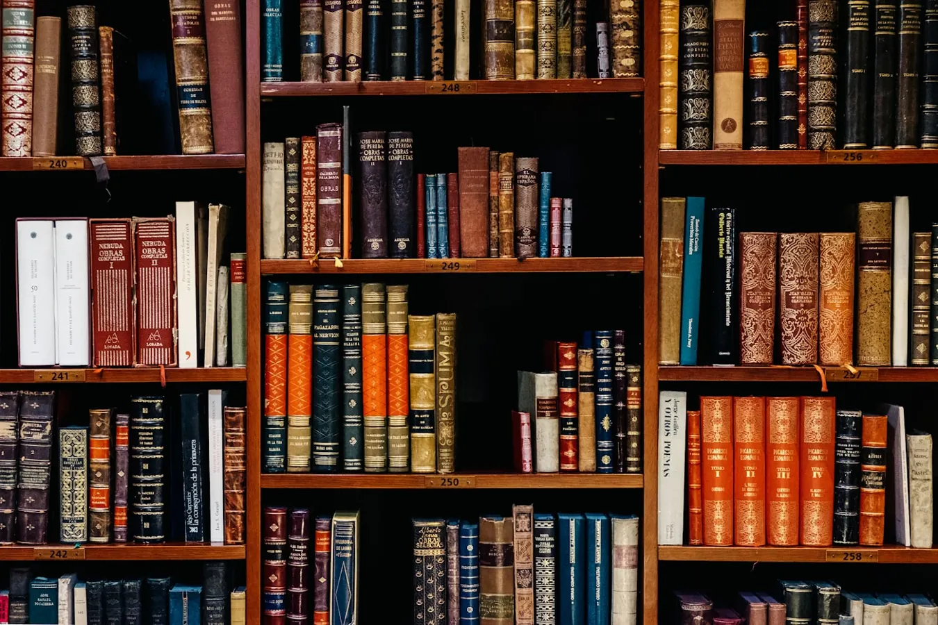 Libros listos para préstamo en la sala de lectura